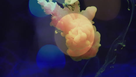 colorful ink swirling in water with abstract shapes animation over dark background