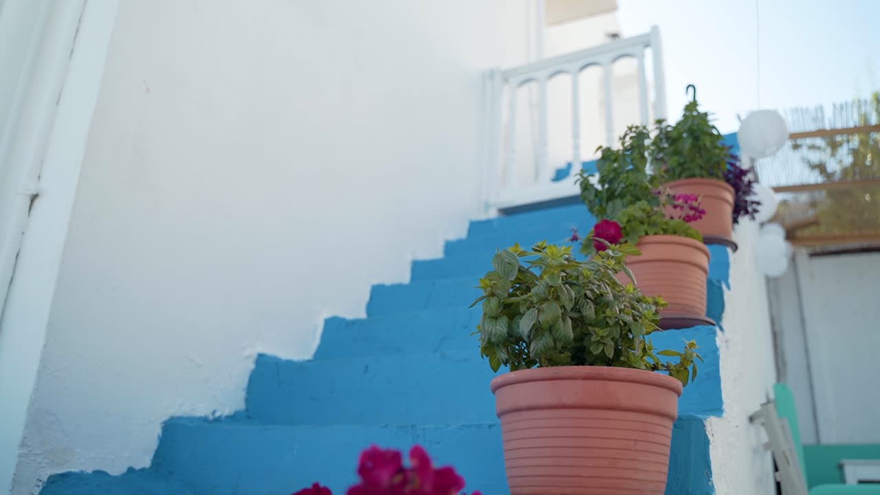primer plano de flores en una maceta en una escalera de una casa en kos, grecia