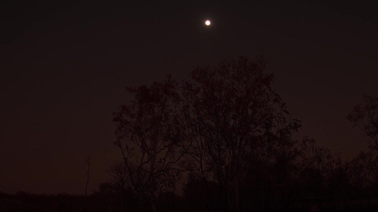 Moonlit Night in the Australian Outback