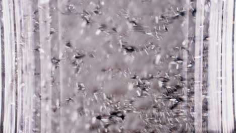 close-up of bubbles in a transparent container