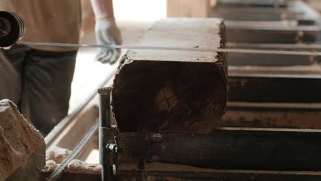 closeup of cut pine tree log on sawing machine at wood production factory. timber material processing and cutting at sawmill. manufacturing process at lumber mill. sawing woods on power machine