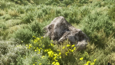 Grandes-Rocas-En-El-Campo-Con-Hierba-Seca