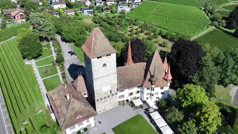 aerial - spiez castle surrounded by vineyards in kanton bern, switzerland