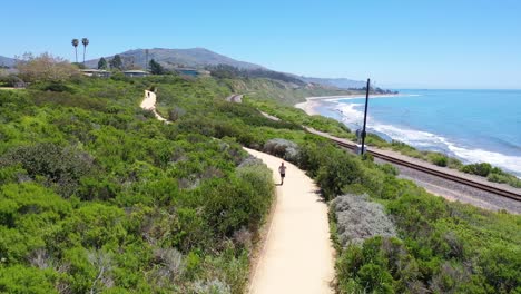 Aerial-Over-Man-Jogging-Runner-Exercise-Along-Coastal-Trail-Railroad-Tracks-And-The-Pacific-Coast-Near-Santa-Barbara