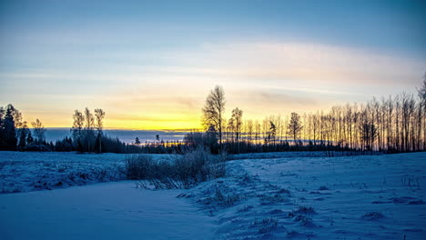 Toma-En-ángulo-Bajo-De-Un-Hermoso-Amanecer-En-Un-Lapso-De-Tiempo-En-El-Fondo-Sobre-Un-Campo-Cubierto-De-Nieve-Rodeado-De-Pinos