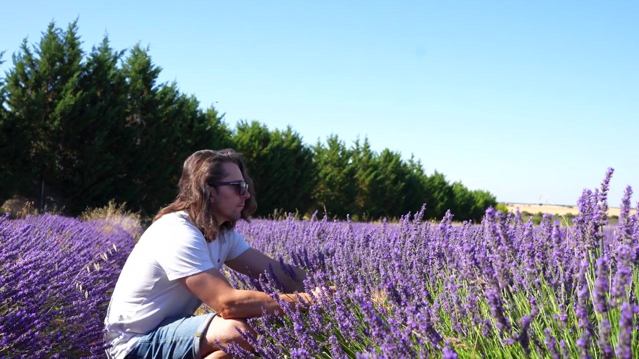 Uomo dai capelli lunghi accovacciato in un campo di lavanda, che tocca delicatamente i fiori viola alla luce del sole.