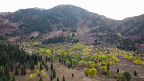 snow basin utah valley with beautiful yellow aspen trees and evergreens with a large momuntain in the background and bright lighting - aerial dolly tilt