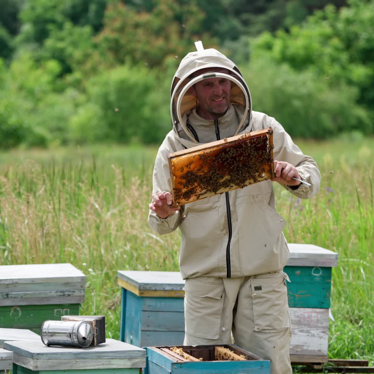 Apicoltore che tiene in mano un telaio di alveare. L’agricoltore tiene il telaio tra le mani