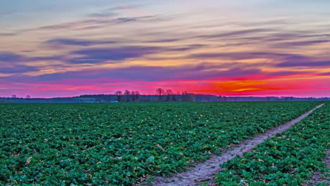 time lapse shot of clouds at sky during golden sunrise behind farm field in countryside