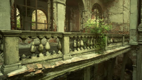 abandoned building with overgrown plants