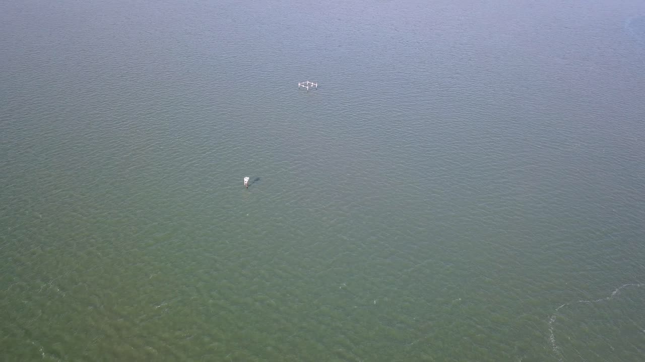 여름에 베이의 조감도