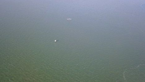 vista aérea de la bahía en verano