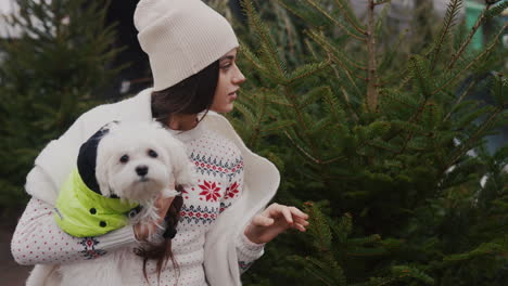 mujer y perro eligiendo árbol de navidad