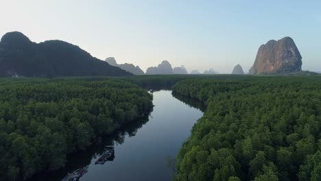 drone flying over sea and mangrove forest landscape high angle view. dynamic aerial shot amazing nature view