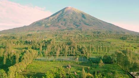 辛多羅山,鄉村風景和茂盛的樹木在煙草種植園,藍色的天空在背景下在早上