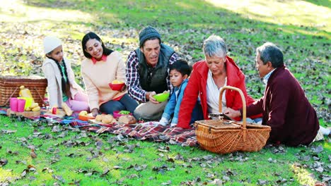 Family-having-picnic-in-the-park