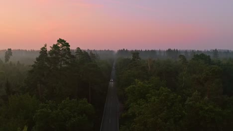 drone shot of a violet colored sunrise over a green forest while driving cars passing by the road leading to the horizon - drone footage.