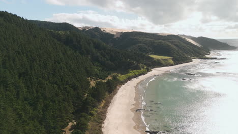 coastal scenery with forest and dunes
