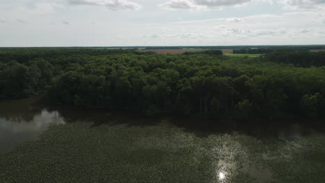 Bushes-And-Swamps-During-Sunset-Near-Lamar,-Barton-County,-Missouri,-United-States