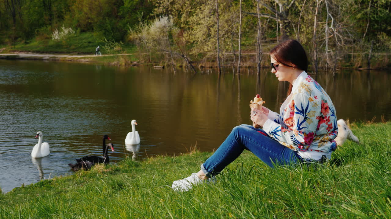 개와 함께 공원에서 휴식을 취하고 이동 중에도 핫도그 2