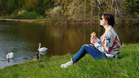 Ruhen-Sie-Sich-Mit-Einem-Hund-Im-Park-Aus-Und-Essen-Sie-Unterwegs-Hot-Dog-2