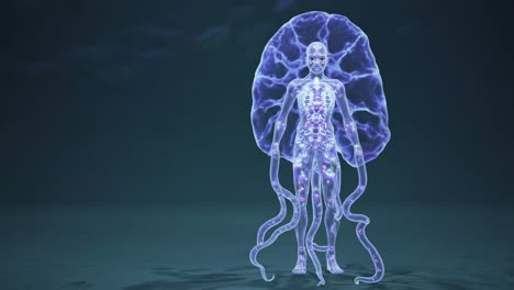 human jellyfish hybrid
