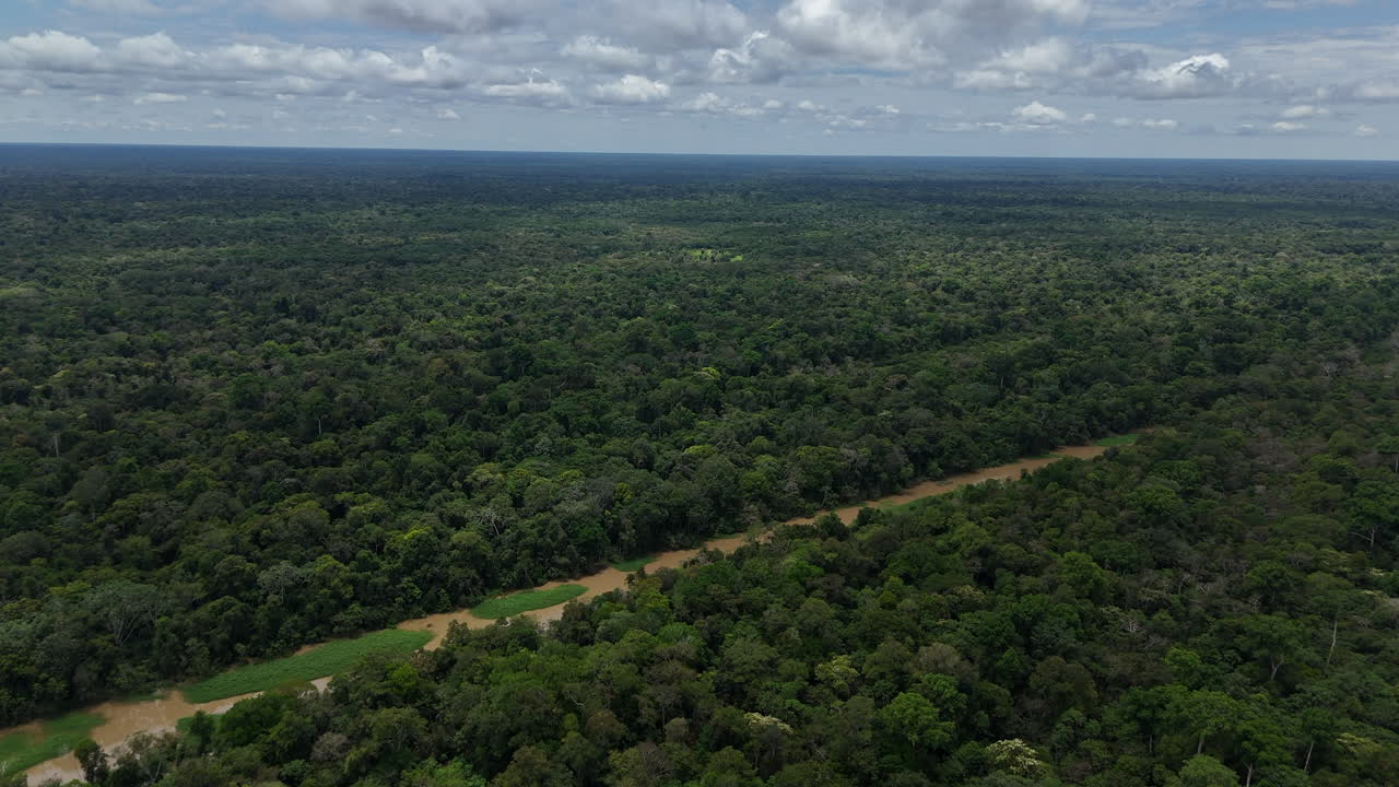 Slow motion drone shot of a small creek flowing through the rainforest