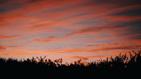 a stunning coloured sunset