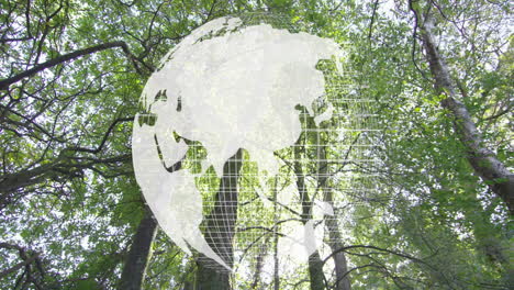 animating globe over lush green forest trees, showcasing environmental conservation