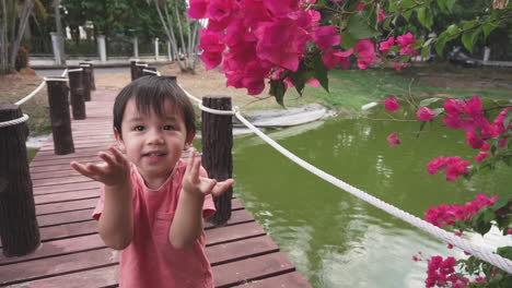 slow motion clip of a two year old asian boy on a wooden bridge over a pond trying to hold a bunch of pink flowers to smell them but the flower breaks