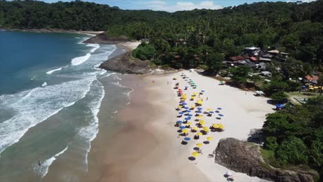 flying past palm trees and beach umbrellas on coastal ocean town in brazil