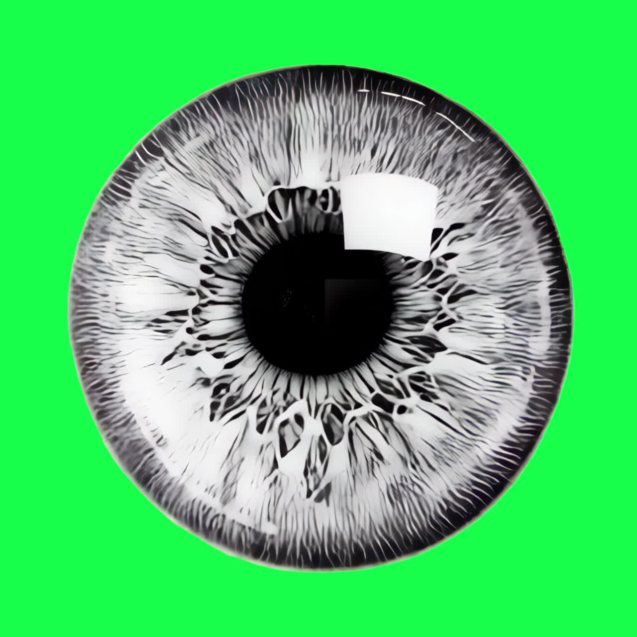 Detailed eye