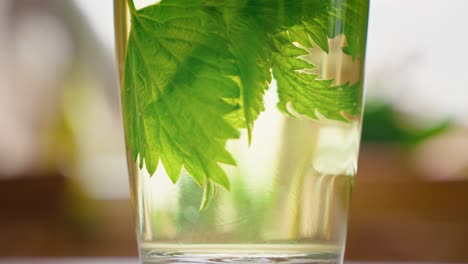 herbal tea brewing green leaves in a glass