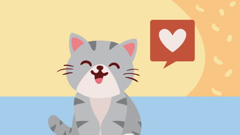 cute little gray cat mascot animation