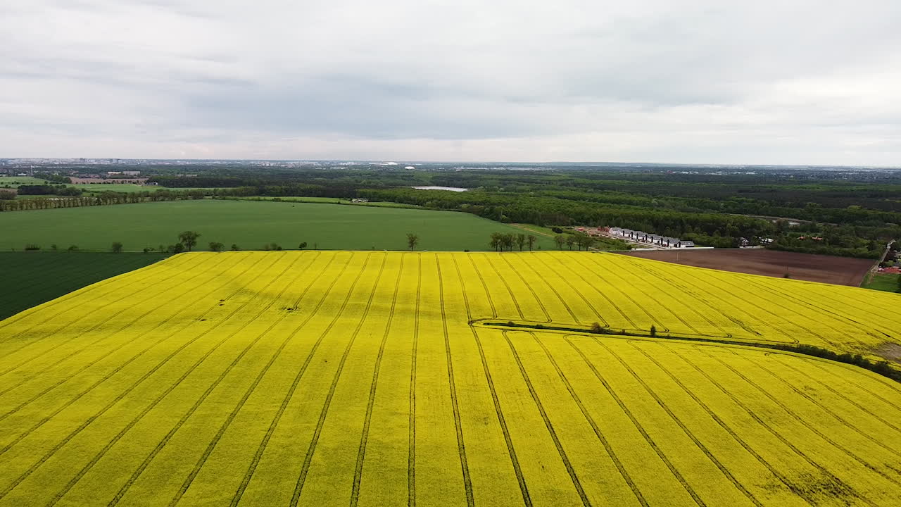 campos de diferentes colores y ciudad distante bajo un cielo nublado