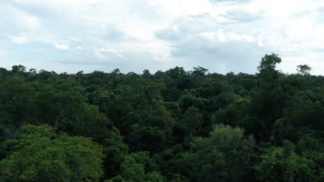 Antenne---Dschungel-Im-Iguazu-Nationalpark,-Misiones,-Argentinien,-Weit-Nach-Vorne-Geschossen