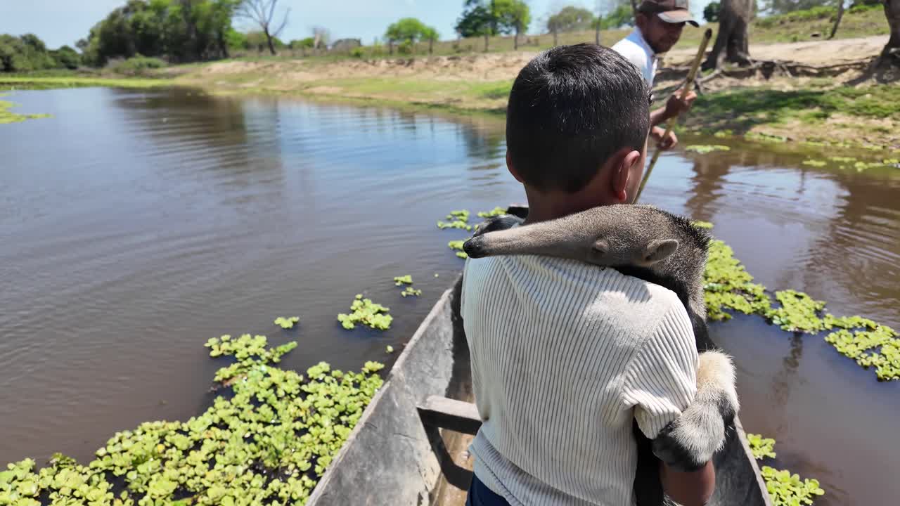 Escena auténtica de un niño sujetando con cariño a un osezno hormiguero rescatado mientras viaja en canoa