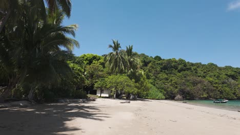 palmeras y playa en la isla de coiba, panamá - panorámica