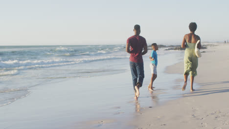 video of happy african american family having fun on beach