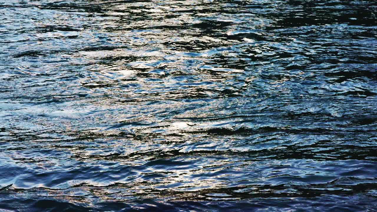 물 표면의 파동