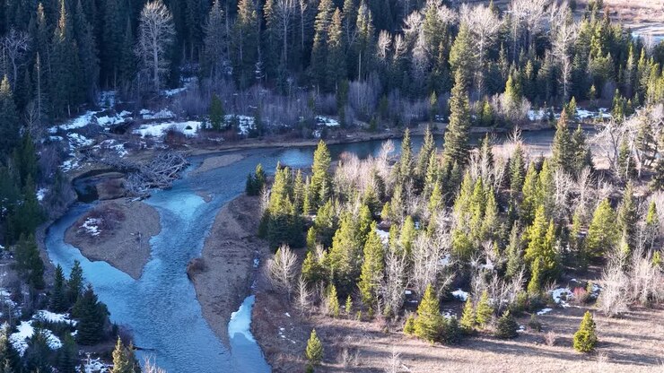 Veduta aerea con drone di un sinuoso fiume turchese che attraversa una aspra valle boscosa in Montana, con sponde rocciose e alberi sempreverdi su entrambi i lati.
