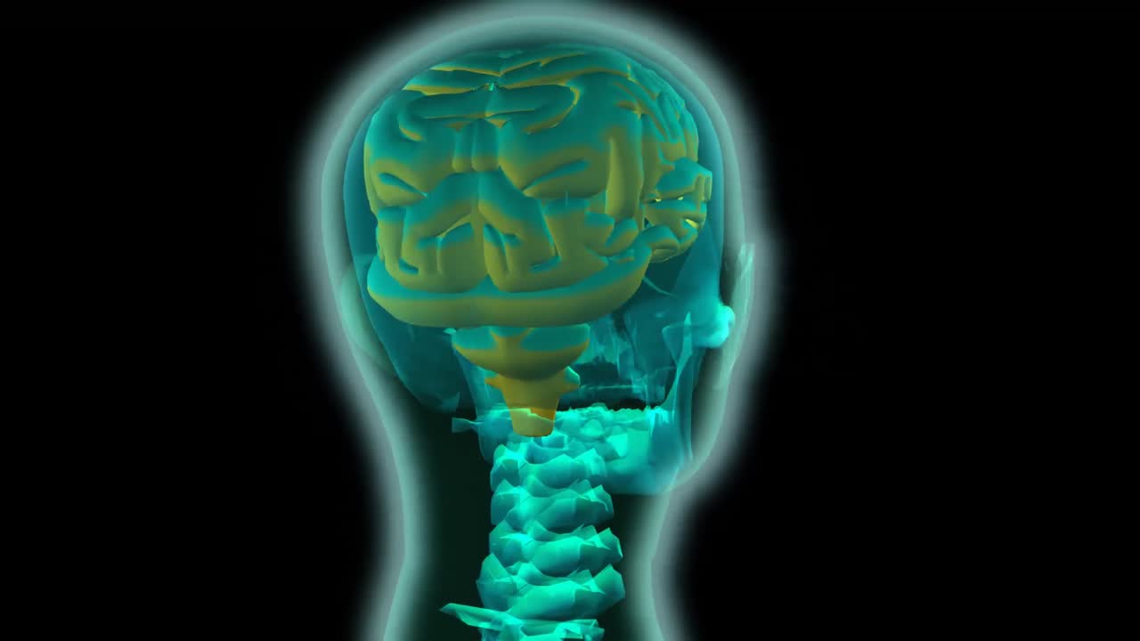 cerebro animado en 3d