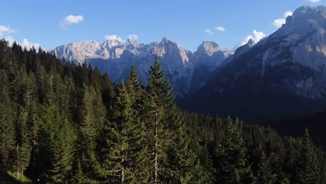 Flying-close-to-pine-trees-in-a-beautiful-valley-in-the-Dolomites,-with-an-outstanding-view-of-mountains-and-rock-formations-in-the-background-in-North-Italy