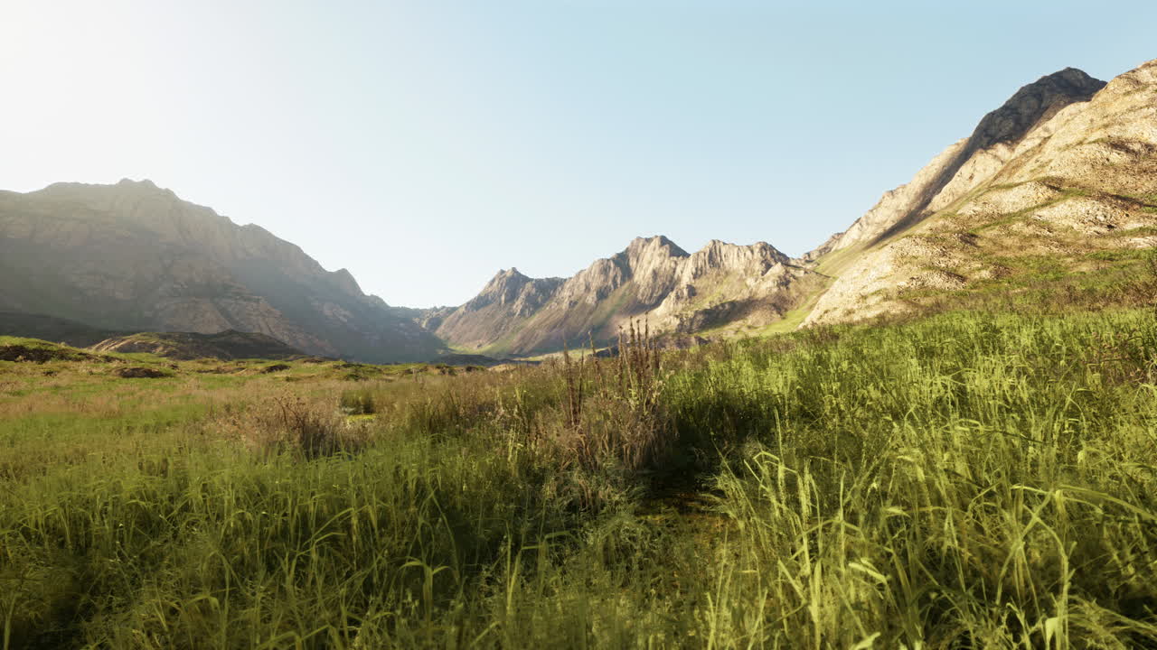 울창 한 초록 잔디 가 있는 산맥