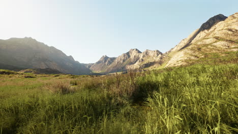 mountain range with lush green grass