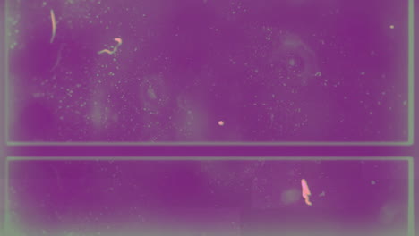 animación de múltiples manchas que se mueven en movimiento hipnótico en un fondo violeta angustiado