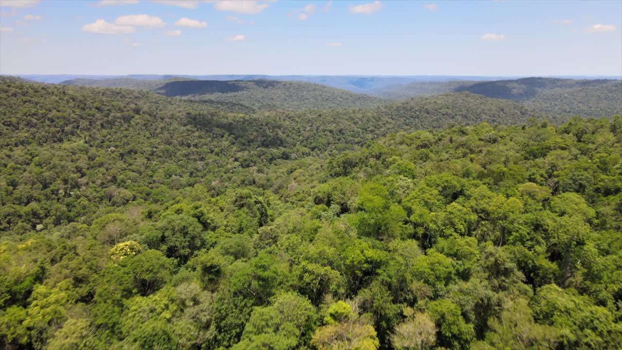 drone avanzando sobre una selva tropical con un hermoso cielo azul y nubes impresionantes, capturando la vegetación vibrante y los pintorescos cielos por encima