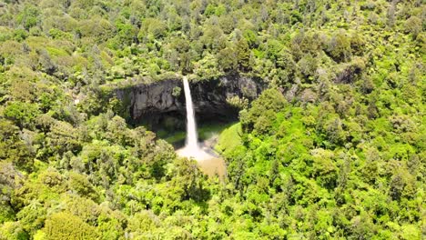 panorama of bridal veil falls, waireinga with lush green forest in waikato, new zealand