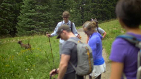 hikers stop to look at plants