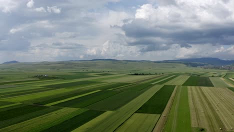 Aerial:-farmland-crops-growing-in-remote-Romanian-countryside,-lowering-view